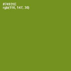 #74931E - Trendy Green Color Image