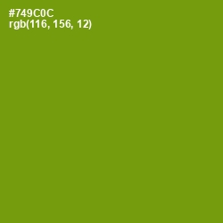 #749C0C - Limeade Color Image