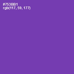 #753BB1 - Royal Purple Color Image