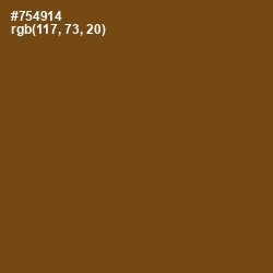 #754914 - Raw Umber Color Image