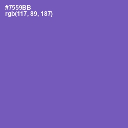 #7559BB - Blue Violet Color Image