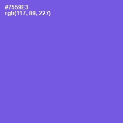 #7559E3 - Blue Marguerite Color Image