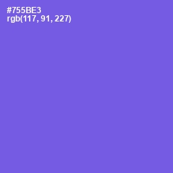 #755BE3 - Blue Marguerite Color Image