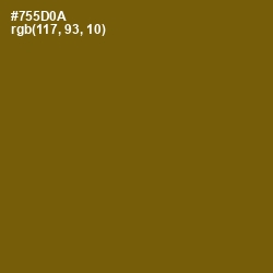 #755D0A - Antique Bronze Color Image