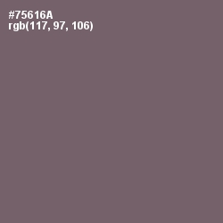 #75616A - Falcon Color Image