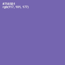 #7565B1 - Deluge Color Image