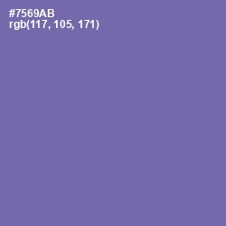 #7569AB - Deluge Color Image