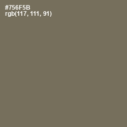 #756F5B - Crocodile Color Image