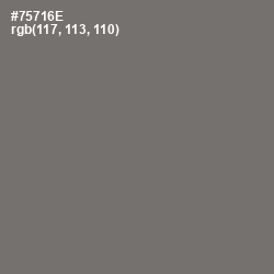 #75716E - Limed Ash Color Image