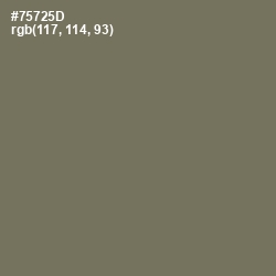 #75725D - Crocodile Color Image