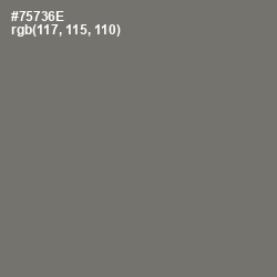 #75736E - Limed Ash Color Image
