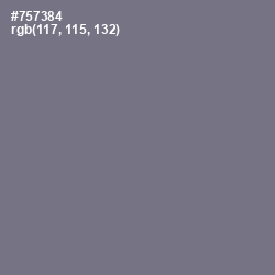 #757384 - Storm Gray Color Image