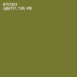 #757831 - Pesto Color Image