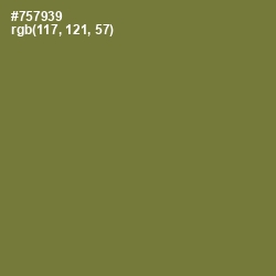 #757939 - Pesto Color Image