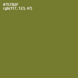 #757B2F - Crete Color Image