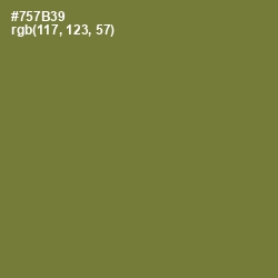 #757B39 - Pesto Color Image