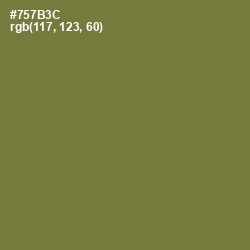 #757B3C - Pesto Color Image