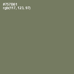 #757B61 - Limed Ash Color Image