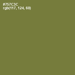 #757C3C - Pesto Color Image