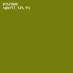 #757D0B - Olivetone Color Image