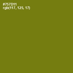 #757D11 - Olivetone Color Image