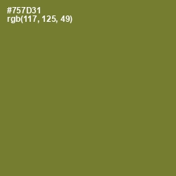 #757D31 - Pesto Color Image