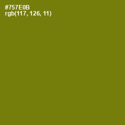 #757E0B - Olivetone Color Image