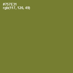 #757E31 - Pesto Color Image