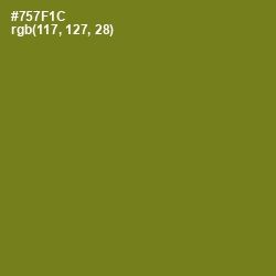 #757F1C - Olivetone Color Image