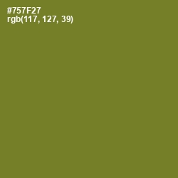 #757F27 - Crete Color Image