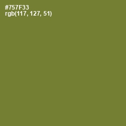 #757F33 - Pesto Color Image
