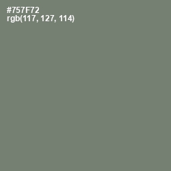 #757F72 - Tapa Color Image