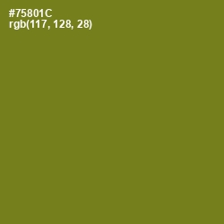 #75801C - Trendy Green Color Image