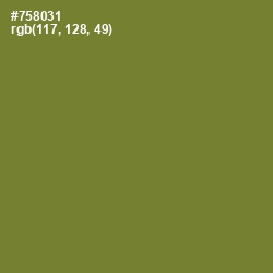 #758031 - Wasabi Color Image