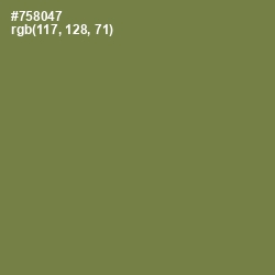 #758047 - Glade Green Color Image