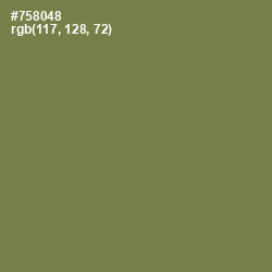 #758048 - Glade Green Color Image