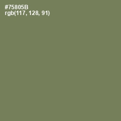 #75805B - Glade Green Color Image