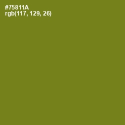 #75811A - Trendy Green Color Image