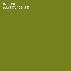 #75811C - Trendy Green Color Image