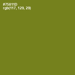 #75811D - Trendy Green Color Image