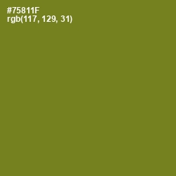 #75811F - Trendy Green Color Image