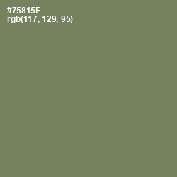 #75815F - Glade Green Color Image