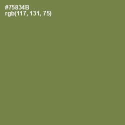 #75834B - Glade Green Color Image