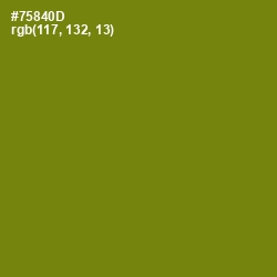 #75840D - Trendy Green Color Image