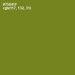 #75841F - Trendy Green Color Image