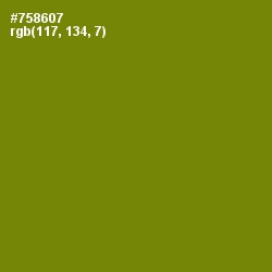 #758607 - Trendy Green Color Image