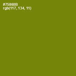 #75860B - Trendy Green Color Image