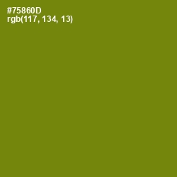 #75860D - Trendy Green Color Image