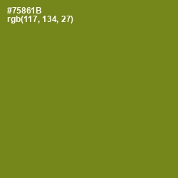 #75861B - Trendy Green Color Image