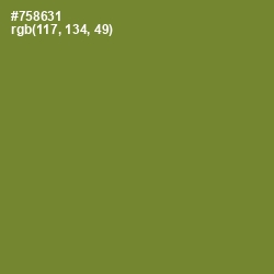 #758631 - Wasabi Color Image
